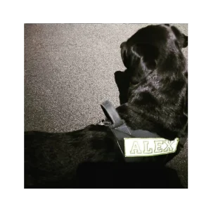 2 PATCH PERSONALIZZATE CON VELCRO