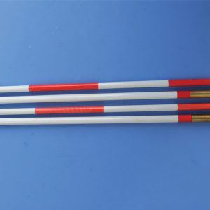 P14 coppia Antenne in vetroresina